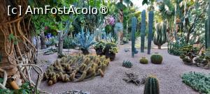 [P58] Marrakech, Grădina Majorelle, Colecția de Cactuși » foto by mprofeanu
 - 
<span class="allrVoted glyphicon glyphicon-heart hidden" id="av1483305"></span>
<a class="m-l-10 hidden" id="sv1483305" onclick="voting_Foto_DelVot(,1483305,4416)" role="button">șterge vot <span class="glyphicon glyphicon-remove"></span></a>
<a id="v91483305" class=" c-red"  onclick="voting_Foto_SetVot(1483305)" role="button"><span class="glyphicon glyphicon-heart-empty"></span> <b>LIKE</b> = Votează poza</a> <img class="hidden"  id="f1483305W9" src="/imagini/loader.gif" border="0" /><span class="AjErrMes hidden" id="e1483305ErM"></span>