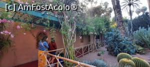 [P59] Marrakech, Grădina Majorelle, Colecția de Cactuși și Pergola » foto by mprofeanu
 - 
<span class="allrVoted glyphicon glyphicon-heart hidden" id="av1483306"></span>
<a class="m-l-10 hidden" id="sv1483306" onclick="voting_Foto_DelVot(,1483306,4416)" role="button">șterge vot <span class="glyphicon glyphicon-remove"></span></a>
<a id="v91483306" class=" c-red"  onclick="voting_Foto_SetVot(1483306)" role="button"><span class="glyphicon glyphicon-heart-empty"></span> <b>LIKE</b> = Votează poza</a> <img class="hidden"  id="f1483306W9" src="/imagini/loader.gif" border="0" /><span class="AjErrMes hidden" id="e1483306ErM"></span>