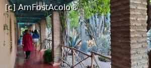 [P60] Marrakech, Grădina Majorelle, Colecția de Cactuși și Pergola » foto by mprofeanu
 - 
<span class="allrVoted glyphicon glyphicon-heart hidden" id="av1483307"></span>
<a class="m-l-10 hidden" id="sv1483307" onclick="voting_Foto_DelVot(,1483307,4416)" role="button">șterge vot <span class="glyphicon glyphicon-remove"></span></a>
<a id="v91483307" class=" c-red"  onclick="voting_Foto_SetVot(1483307)" role="button"><span class="glyphicon glyphicon-heart-empty"></span> <b>LIKE</b> = Votează poza</a> <img class="hidden"  id="f1483307W9" src="/imagini/loader.gif" border="0" /><span class="AjErrMes hidden" id="e1483307ErM"></span>
