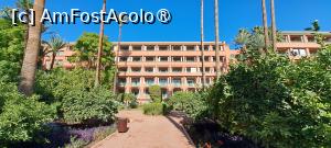 [P68] Hotel La Mamounia, alei în grădină și corpul hotelului » foto by irinad
 - 
<span class="allrVoted glyphicon glyphicon-heart hidden" id="av1509093"></span>
<a class="m-l-10 hidden" id="sv1509093" onclick="voting_Foto_DelVot(,1509093,4416)" role="button">șterge vot <span class="glyphicon glyphicon-remove"></span></a>
<a id="v91509093" class=" c-red"  onclick="voting_Foto_SetVot(1509093)" role="button"><span class="glyphicon glyphicon-heart-empty"></span> <b>LIKE</b> = Votează poza</a> <img class="hidden"  id="f1509093W9" src="/imagini/loader.gif" border="0" /><span class="AjErrMes hidden" id="e1509093ErM"></span>