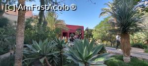 [P91] Le Jardin Secret, Grădina Exotică » foto by irinad
 - 
<span class="allrVoted glyphicon glyphicon-heart hidden" id="av1509116"></span>
<a class="m-l-10 hidden" id="sv1509116" onclick="voting_Foto_DelVot(,1509116,4416)" role="button">șterge vot <span class="glyphicon glyphicon-remove"></span></a>
<a id="v91509116" class=" c-red"  onclick="voting_Foto_SetVot(1509116)" role="button"><span class="glyphicon glyphicon-heart-empty"></span> <b>LIKE</b> = Votează poza</a> <img class="hidden"  id="f1509116W9" src="/imagini/loader.gif" border="0" /><span class="AjErrMes hidden" id="e1509116ErM"></span>