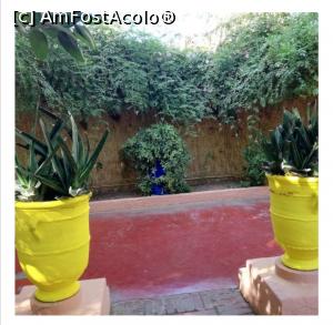 [P14] Majorelle Gardens » foto by Mary Năstase
 - 
<span class="allrVoted glyphicon glyphicon-heart hidden" id="av1254766"></span>
<a class="m-l-10 hidden" id="sv1254766" onclick="voting_Foto_DelVot(,1254766,4416)" role="button">șterge vot <span class="glyphicon glyphicon-remove"></span></a>
<a id="v91254766" class=" c-red"  onclick="voting_Foto_SetVot(1254766)" role="button"><span class="glyphicon glyphicon-heart-empty"></span> <b>LIKE</b> = Votează poza</a> <img class="hidden"  id="f1254766W9" src="/imagini/loader.gif" border="0" /><span class="AjErrMes hidden" id="e1254766ErM"></span>