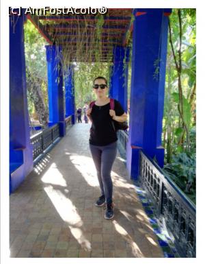 [P16] Majorelle Gardens » foto by Mary Năstase
 - 
<span class="allrVoted glyphicon glyphicon-heart hidden" id="av1254768"></span>
<a class="m-l-10 hidden" id="sv1254768" onclick="voting_Foto_DelVot(,1254768,4416)" role="button">șterge vot <span class="glyphicon glyphicon-remove"></span></a>
<a id="v91254768" class=" c-red"  onclick="voting_Foto_SetVot(1254768)" role="button"><span class="glyphicon glyphicon-heart-empty"></span> <b>LIKE</b> = Votează poza</a> <img class="hidden"  id="f1254768W9" src="/imagini/loader.gif" border="0" /><span class="AjErrMes hidden" id="e1254768ErM"></span>