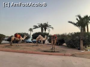 [P79] Av. Prince Moulay Rachid » foto by adso
 - 
<span class="allrVoted glyphicon glyphicon-heart hidden" id="av1528136"></span>
<a class="m-l-10 hidden" id="sv1528136" onclick="voting_Foto_DelVot(,1528136,4416)" role="button">șterge vot <span class="glyphicon glyphicon-remove"></span></a>
<a id="v91528136" class=" c-red"  onclick="voting_Foto_SetVot(1528136)" role="button"><span class="glyphicon glyphicon-heart-empty"></span> <b>LIKE</b> = Votează poza</a> <img class="hidden"  id="f1528136W9" src="/imagini/loader.gif" border="0" /><span class="AjErrMes hidden" id="e1528136ErM"></span>