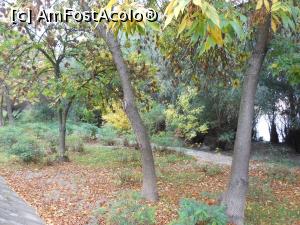 [P06] Galați - Faleza Dunării la Galați. Toamna. » foto by iulianic
 - 
<span class="allrVoted glyphicon glyphicon-heart hidden" id="av1197792"></span>
<a class="m-l-10 hidden" id="sv1197792" onclick="voting_Foto_DelVot(,1197792,4457)" role="button">șterge vot <span class="glyphicon glyphicon-remove"></span></a>
<a id="v91197792" class=" c-red"  onclick="voting_Foto_SetVot(1197792)" role="button"><span class="glyphicon glyphicon-heart-empty"></span> <b>LIKE</b> = Votează poza</a> <img class="hidden"  id="f1197792W9" src="/imagini/loader.gif" border="0" /><span class="AjErrMes hidden" id="e1197792ErM"></span>