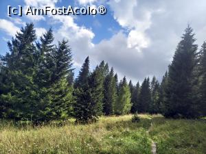 [P06] Poteca prin Poiana Coștilei » foto by kemi27
 - 
<span class="allrVoted glyphicon glyphicon-heart hidden" id="av1542968"></span>
<a class="m-l-10 hidden" id="sv1542968" onclick="voting_Foto_DelVot(,1542968,4537)" role="button">șterge vot <span class="glyphicon glyphicon-remove"></span></a>
<a id="v91542968" class=" c-red"  onclick="voting_Foto_SetVot(1542968)" role="button"><span class="glyphicon glyphicon-heart-empty"></span> <b>LIKE</b> = Votează poza</a> <img class="hidden"  id="f1542968W9" src="/imagini/loader.gif" border="0" /><span class="AjErrMes hidden" id="e1542968ErM"></span>