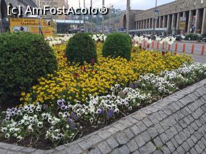 [P03] Vis-a-vis de Hauptbahnhof, la intrarea pe Koenigsstrasse ornamentele florale iti incanta privirea » foto by Dan&Ema
 - 
<span class="allrVoted glyphicon glyphicon-heart hidden" id="av738745"></span>
<a class="m-l-10 hidden" id="sv738745" onclick="voting_Foto_DelVot(,738745,4539)" role="button">șterge vot <span class="glyphicon glyphicon-remove"></span></a>
<a id="v9738745" class=" c-red"  onclick="voting_Foto_SetVot(738745)" role="button"><span class="glyphicon glyphicon-heart-empty"></span> <b>LIKE</b> = Votează poza</a> <img class="hidden"  id="f738745W9" src="/imagini/loader.gif" border="0" /><span class="AjErrMes hidden" id="e738745ErM"></span>