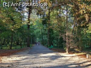 [P08] Am mers apoi în Parcul Central ”Constantin Brâncuși” pentru a vizita Poarta Sărutului, Aleea Scaunelor și Masa Tăcerii.  » foto by Floryn81
 - 
<span class="allrVoted glyphicon glyphicon-heart hidden" id="av1134726"></span>
<a class="m-l-10 hidden" id="sv1134726" onclick="voting_Foto_DelVot(,1134726,4551)" role="button">șterge vot <span class="glyphicon glyphicon-remove"></span></a>
<a id="v91134726" class=" c-red"  onclick="voting_Foto_SetVot(1134726)" role="button"><span class="glyphicon glyphicon-heart-empty"></span> <b>LIKE</b> = Votează poza</a> <img class="hidden"  id="f1134726W9" src="/imagini/loader.gif" border="0" /><span class="AjErrMes hidden" id="e1134726ErM"></span>