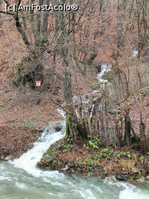 P07 [JAN-2023] Mici fire de apă se varsă în multe cascade în Râul Șușița.
