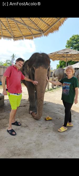 [P03] Samui Elephant Jungle Sanctuary » foto by elenaadina
 - 
<span class="allrVoted glyphicon glyphicon-heart hidden" id="av1527465"></span>
<a class="m-l-10 hidden" id="sv1527465" onclick="voting_Foto_DelVot(,1527465,4636)" role="button">șterge vot <span class="glyphicon glyphicon-remove"></span></a>
<a id="v91527465" class=" c-red"  onclick="voting_Foto_SetVot(1527465)" role="button"><span class="glyphicon glyphicon-heart-empty"></span> <b>LIKE</b> = Votează poza</a> <img class="hidden"  id="f1527465W9" src="/imagini/loader.gif" border="0" /><span class="AjErrMes hidden" id="e1527465ErM"></span>