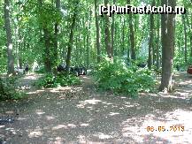 P23 [MAY-2013] Pădurea Pustnicu - Maşini parcate în pădure. 