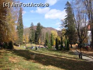 [P55] Nu puteam pleca de la Sinaia fără a face o scurtă vizită în parcul „Dimitrie Ghica”.  » foto by Floryn81
 - 
<span class="allrVoted glyphicon glyphicon-heart hidden" id="av919195"></span>
<a class="m-l-10 hidden" id="sv919195" onclick="voting_Foto_DelVot(,919195,4656)" role="button">șterge vot <span class="glyphicon glyphicon-remove"></span></a>
<a id="v9919195" class=" c-red"  onclick="voting_Foto_SetVot(919195)" role="button"><span class="glyphicon glyphicon-heart-empty"></span> <b>LIKE</b> = Votează poza</a> <img class="hidden"  id="f919195W9" src="/imagini/loader.gif" border="0" /><span class="AjErrMes hidden" id="e919195ErM"></span>