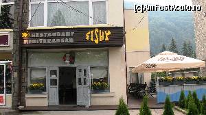 [P01] Restaurant FISHY, Sinaia, Bd. Carol I nr. 27 » foto by severm
 - 
<span class="allrVoted glyphicon glyphicon-heart hidden" id="av667218"></span>
<a class="m-l-10 hidden" id="sv667218" onclick="voting_Foto_DelVot(,667218,4690)" role="button">șterge vot <span class="glyphicon glyphicon-remove"></span></a>
<a id="v9667218" class=" c-red"  onclick="voting_Foto_SetVot(667218)" role="button"><span class="glyphicon glyphicon-heart-empty"></span> <b>LIKE</b> = Votează poza</a> <img class="hidden"  id="f667218W9" src="/imagini/loader.gif" border="0" /><span class="AjErrMes hidden" id="e667218ErM"></span>