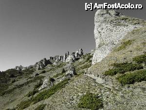 [P09] o alta perspectiva.  » foto by no_oxigen
 - 
<span class="allrVoted glyphicon glyphicon-heart hidden" id="av422494"></span>
<a class="m-l-10 hidden" id="sv422494" onclick="voting_Foto_DelVot(,422494,4696)" role="button">șterge vot <span class="glyphicon glyphicon-remove"></span></a>
<a id="v9422494" class=" c-red"  onclick="voting_Foto_SetVot(422494)" role="button"><span class="glyphicon glyphicon-heart-empty"></span> <b>LIKE</b> = Votează poza</a> <img class="hidden"  id="f422494W9" src="/imagini/loader.gif" border="0" /><span class="AjErrMes hidden" id="e422494ErM"></span>