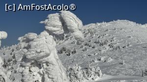 [P35] Munții Ciucaș - de la Bratocea pe Vârful Ciucaș » foto by Mika
 - 
<span class="allrVoted glyphicon glyphicon-heart hidden" id="av1516109"></span>
<a class="m-l-10 hidden" id="sv1516109" onclick="voting_Foto_DelVot(,1516109,4696)" role="button">șterge vot <span class="glyphicon glyphicon-remove"></span></a>
<a id="v91516109" class=" c-red"  onclick="voting_Foto_SetVot(1516109)" role="button"><span class="glyphicon glyphicon-heart-empty"></span> <b>LIKE</b> = Votează poza</a> <img class="hidden"  id="f1516109W9" src="/imagini/loader.gif" border="0" /><span class="AjErrMes hidden" id="e1516109ErM"></span>