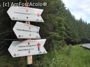 [P39] Am reușit. Am ajuns la șosea » foto by Mika
 - 
<span class="allrVoted glyphicon glyphicon-heart hidden" id="av1080463"></span>
<a class="m-l-10 hidden" id="sv1080463" onclick="voting_Foto_DelVot(,1080463,4696)" role="button">șterge vot <span class="glyphicon glyphicon-remove"></span></a>
<a id="v91080463" class=" c-red"  onclick="voting_Foto_SetVot(1080463)" role="button"><span class="glyphicon glyphicon-heart-empty"></span> <b>LIKE</b> = Votează poza</a> <img class="hidden"  id="f1080463W9" src="/imagini/loader.gif" border="0" /><span class="AjErrMes hidden" id="e1080463ErM"></span>