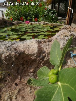 [P09]  -- <small>// FĂRĂ DESCRIERE</small> » foto by Cristian_h
 - 
<span class="allrVoted glyphicon glyphicon-heart hidden" id="av1516781"></span>
<a class="m-l-10 hidden" id="sv1516781" onclick="voting_Foto_DelVot(,1516781,4839)" role="button">șterge vot <span class="glyphicon glyphicon-remove"></span></a>
<a id="v91516781" class=" c-red"  onclick="voting_Foto_SetVot(1516781)" role="button"><span class="glyphicon glyphicon-heart-empty"></span> <b>LIKE</b> = Votează poza</a> <img class="hidden"  id="f1516781W9" src="/imagini/loader.gif" border="0" /><span class="AjErrMes hidden" id="e1516781ErM"></span>