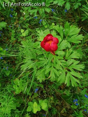 [P04]  -- <small>// FĂRĂ DESCRIERE</small> » foto by Cristian_h
 - 
<span class="allrVoted glyphicon glyphicon-heart hidden" id="av1518519"></span>
<a class="m-l-10 hidden" id="sv1518519" onclick="voting_Foto_DelVot(,1518519,4898)" role="button">șterge vot <span class="glyphicon glyphicon-remove"></span></a>
<a id="v91518519" class=" c-red"  onclick="voting_Foto_SetVot(1518519)" role="button"><span class="glyphicon glyphicon-heart-empty"></span> <b>LIKE</b> = Votează poza</a> <img class="hidden"  id="f1518519W9" src="/imagini/loader.gif" border="0" /><span class="AjErrMes hidden" id="e1518519ErM"></span>