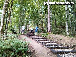 [P08] Rezervația Lacul Ursu și arboretele de pe sărături, cu trasee amenajate, numai bune pentru amatorii de plimbări. » foto by Sobsy
 - 
<span class="allrVoted glyphicon glyphicon-heart hidden" id="av458535"></span>
<a class="m-l-10 hidden" id="sv458535" onclick="voting_Foto_DelVot(,458535,4909)" role="button">șterge vot <span class="glyphicon glyphicon-remove"></span></a>
<a id="v9458535" class=" c-red"  onclick="voting_Foto_SetVot(458535)" role="button"><span class="glyphicon glyphicon-heart-empty"></span> <b>LIKE</b> = Votează poza</a> <img class="hidden"  id="f458535W9" src="/imagini/loader.gif" border="0" /><span class="AjErrMes hidden" id="e458535ErM"></span>