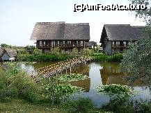 [P03] Green Village si Dolphin Camping,un loc mirific din Sf.Gheorghe delta,unde poti pescui si te poti incarca cu multa liniste si pace sufleteasca. » foto by ghemonica
 - 
<span class="allrVoted glyphicon glyphicon-heart hidden" id="av229665"></span>
<a class="m-l-10 hidden" id="sv229665" onclick="voting_Foto_DelVot(,229665,4923)" role="button">șterge vot <span class="glyphicon glyphicon-remove"></span></a>
<a id="v9229665" class=" c-red"  onclick="voting_Foto_SetVot(229665)" role="button"><span class="glyphicon glyphicon-heart-empty"></span> <b>LIKE</b> = Votează poza</a> <img class="hidden"  id="f229665W9" src="/imagini/loader.gif" border="0" /><span class="AjErrMes hidden" id="e229665ErM"></span>