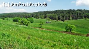 [P12] Peisaj rural și forestier cu tufă de liliac ănflorit în zona satului Hosasău » foto by Lucien
 - 
<span class="allrVoted glyphicon glyphicon-heart hidden" id="av837163"></span>
<a class="m-l-10 hidden" id="sv837163" onclick="voting_Foto_DelVot(,837163,4951)" role="button">șterge vot <span class="glyphicon glyphicon-remove"></span></a>
<a id="v9837163" class=" c-red"  onclick="voting_Foto_SetVot(837163)" role="button"><span class="glyphicon glyphicon-heart-empty"></span> <b>LIKE</b> = Votează poza</a> <img class="hidden"  id="f837163W9" src="/imagini/loader.gif" border="0" /><span class="AjErrMes hidden" id="e837163ErM"></span>