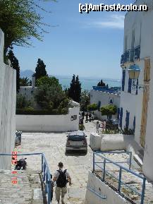 [P18] Sidi Bou Said » foto by olivial
 - 
<span class="allrVoted glyphicon glyphicon-heart hidden" id="av332804"></span>
<a class="m-l-10 hidden" id="sv332804" onclick="voting_Foto_DelVot(,332804,5104)" role="button">șterge vot <span class="glyphicon glyphicon-remove"></span></a>
<a id="v9332804" class=" c-red"  onclick="voting_Foto_SetVot(332804)" role="button"><span class="glyphicon glyphicon-heart-empty"></span> <b>LIKE</b> = Votează poza</a> <img class="hidden"  id="f332804W9" src="/imagini/loader.gif" border="0" /><span class="AjErrMes hidden" id="e332804ErM"></span>