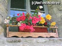 [P11] Begonii la fereastra unei chilii de la Varatec » foto by mirelaviolet
 - 
<span class="allrVoted glyphicon glyphicon-heart hidden" id="av159007"></span>
<a class="m-l-10 hidden" id="sv159007" onclick="voting_Foto_DelVot(,159007,5114)" role="button">șterge vot <span class="glyphicon glyphicon-remove"></span></a>
<a id="v9159007" class=" c-red"  onclick="voting_Foto_SetVot(159007)" role="button"><span class="glyphicon glyphicon-heart-empty"></span> <b>LIKE</b> = Votează poza</a> <img class="hidden"  id="f159007W9" src="/imagini/loader.gif" border="0" /><span class="AjErrMes hidden" id="e159007ErM"></span>