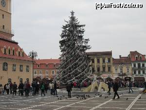 [P04] Bradul din Piata Sfatului din Brasov » foto by mihai27
 - 
<span class="allrVoted glyphicon glyphicon-heart hidden" id="av597423"></span>
<a class="m-l-10 hidden" id="sv597423" onclick="voting_Foto_DelVot(,597423,5116)" role="button">șterge vot <span class="glyphicon glyphicon-remove"></span></a>
<a id="v9597423" class=" c-red"  onclick="voting_Foto_SetVot(597423)" role="button"><span class="glyphicon glyphicon-heart-empty"></span> <b>LIKE</b> = Votează poza</a> <img class="hidden"  id="f597423W9" src="/imagini/loader.gif" border="0" /><span class="AjErrMes hidden" id="e597423ErM"></span>