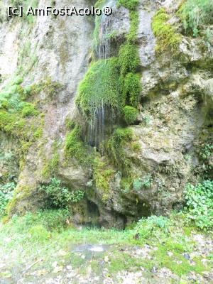 [P10] Firișoarele de apă se scurg pe mușchi și stâncă - cascada „La Chișătoare”.  » foto by tata123 🔱
 - 
<span class="allrVoted glyphicon glyphicon-heart hidden" id="av797147"></span>
<a class="m-l-10 hidden" id="sv797147" onclick="voting_Foto_DelVot(,797147,5116)" role="button">șterge vot <span class="glyphicon glyphicon-remove"></span></a>
<a id="v9797147" class=" c-red"  onclick="voting_Foto_SetVot(797147)" role="button"><span class="glyphicon glyphicon-heart-empty"></span> <b>LIKE</b> = Votează poza</a> <img class="hidden"  id="f797147W9" src="/imagini/loader.gif" border="0" /><span class="AjErrMes hidden" id="e797147ErM"></span>