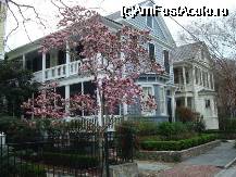 [P03] pomi de magnolie infloriti si case cu veranda in Charleston » foto by Pami*
 - 
<span class="allrVoted glyphicon glyphicon-heart hidden" id="av55365"></span>
<a class="m-l-10 hidden" id="sv55365" onclick="voting_Foto_DelVot(,55365,5138)" role="button">șterge vot <span class="glyphicon glyphicon-remove"></span></a>
<a id="v955365" class=" c-red"  onclick="voting_Foto_SetVot(55365)" role="button"><span class="glyphicon glyphicon-heart-empty"></span> <b>LIKE</b> = Votează poza</a> <img class="hidden"  id="f55365W9" src="/imagini/loader.gif" border="0" /><span class="AjErrMes hidden" id="e55365ErM"></span>