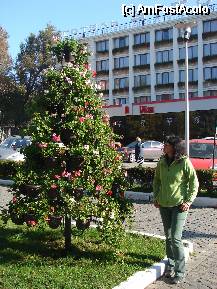 [P16] Aranjamente florale in lumina soarelui de noiembrie . » foto by must-see*
 - 
<span class="allrVoted glyphicon glyphicon-heart hidden" id="av59053"></span>
<a class="m-l-10 hidden" id="sv59053" onclick="voting_Foto_DelVot(,59053,5250)" role="button">șterge vot <span class="glyphicon glyphicon-remove"></span></a>
<a id="v959053" class=" c-red"  onclick="voting_Foto_SetVot(59053)" role="button"><span class="glyphicon glyphicon-heart-empty"></span> <b>LIKE</b> = Votează poza</a> <img class="hidden"  id="f59053W9" src="/imagini/loader.gif" border="0" /><span class="AjErrMes hidden" id="e59053ErM"></span>