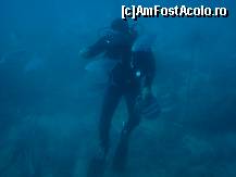 P35 [JAN-2008] diving incercati
