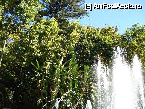 P13 [OCT-2012] Marbella și Puerto Banus - Parcul Alameda