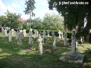 [P20] Mănăstirea Ciolanu - o parte din cimitirul aflat în curtea lăcașului de cult.  » foto by Floryn81
 - 
<span class="allrVoted glyphicon glyphicon-heart hidden" id="av605045"></span>
<a class="m-l-10 hidden" id="sv605045" onclick="voting_Foto_DelVot(,605045,5439)" role="button">șterge vot <span class="glyphicon glyphicon-remove"></span></a>
<a id="v9605045" class=" c-red"  onclick="voting_Foto_SetVot(605045)" role="button"><span class="glyphicon glyphicon-heart-empty"></span> <b>LIKE</b> = Votează poza</a> <img class="hidden"  id="f605045W9" src="/imagini/loader.gif" border="0" /><span class="AjErrMes hidden" id="e605045ErM"></span>