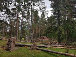 [P13] O furtună puternică a doborât mulți arbori falnici din rezervația de la Bisoca. » foto by Floryn81
 - 
<span class="allrVoted glyphicon glyphicon-heart hidden" id="av1169612"></span>
<a class="m-l-10 hidden" id="sv1169612" onclick="voting_Foto_DelVot(,1169612,5439)" role="button">șterge vot <span class="glyphicon glyphicon-remove"></span></a>
<a id="v91169612" class=" c-red"  onclick="voting_Foto_SetVot(1169612)" role="button"><span class="glyphicon glyphicon-heart-empty"></span> <b>LIKE</b> = Votează poza</a> <img class="hidden"  id="f1169612W9" src="/imagini/loader.gif" border="0" /><span class="AjErrMes hidden" id="e1169612ErM"></span>