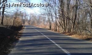 [P04] Începem urcușul către Mănăstirea Ciolanu și Tabăra de Sculptură, 7 km » foto by Aurici
 - 
<span class="allrVoted glyphicon glyphicon-heart hidden" id="av709970"></span>
<a class="m-l-10 hidden" id="sv709970" onclick="voting_Foto_DelVot(,709970,5439)" role="button">șterge vot <span class="glyphicon glyphicon-remove"></span></a>
<a id="v9709970" class=" c-red"  onclick="voting_Foto_SetVot(709970)" role="button"><span class="glyphicon glyphicon-heart-empty"></span> <b>LIKE</b> = Votează poza</a> <img class="hidden"  id="f709970W9" src="/imagini/loader.gif" border="0" /><span class="AjErrMes hidden" id="e709970ErM"></span>