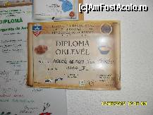 [P16] diplome de merit. » foto by adryana
 - 
<span class="allrVoted glyphicon glyphicon-heart hidden" id="av333183"></span>
<a class="m-l-10 hidden" id="sv333183" onclick="voting_Foto_DelVot(,333183,5519)" role="button">șterge vot <span class="glyphicon glyphicon-remove"></span></a>
<a id="v9333183" class=" c-red"  onclick="voting_Foto_SetVot(333183)" role="button"><span class="glyphicon glyphicon-heart-empty"></span> <b>LIKE</b> = Votează poza</a> <img class="hidden"  id="f333183W9" src="/imagini/loader.gif" border="0" /><span class="AjErrMes hidden" id="e333183ErM"></span>