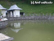 P11 [MAY-2010] Micul lac de langa Manastirea Crisan - Judetul Hunedoara