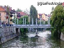[P47] Cobblers' Bridge, Ljubljana, Slovenia (Čevljarski most) sau Podul Pantofarilor este unul din cele mai vechi poduri din Ljubljana, datând din secolul 13. De-a lungul existenţei sale a suferit multe transformări, fiind pe rând pod din lemn, din fier, iar după numeroase incendii şi inundaţii a fost reconstruit în cele din urmă din piatră. » foto by badge®
 - 
<span class="allrVoted glyphicon glyphicon-heart hidden" id="av175514"></span>
<a class="m-l-10 hidden" id="sv175514" onclick="voting_Foto_DelVot(,175514,5760)" role="button">șterge vot <span class="glyphicon glyphicon-remove"></span></a>
<a id="v9175514" class=" c-red"  onclick="voting_Foto_SetVot(175514)" role="button"><span class="glyphicon glyphicon-heart-empty"></span> <b>LIKE</b> = Votează poza</a> <img class="hidden"  id="f175514W9" src="/imagini/loader.gif" border="0" /><span class="AjErrMes hidden" id="e175514ErM"></span>