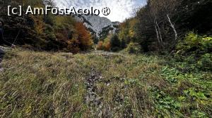 [P22] Urcare spre Castelul Crăiței » foto by Mika
 - 
<span class="allrVoted glyphicon glyphicon-heart hidden" id="av1480728"></span>
<a class="m-l-10 hidden" id="sv1480728" onclick="voting_Foto_DelVot(,1480728,5764)" role="button">șterge vot <span class="glyphicon glyphicon-remove"></span></a>
<a id="v91480728" class=" c-red"  onclick="voting_Foto_SetVot(1480728)" role="button"><span class="glyphicon glyphicon-heart-empty"></span> <b>LIKE</b> = Votează poza</a> <img class="hidden"  id="f1480728W9" src="/imagini/loader.gif" border="0" /><span class="AjErrMes hidden" id="e1480728ErM"></span>