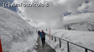 [P50] Gornergrat » foto by balasa violeta
 - 
<span class="allrVoted glyphicon glyphicon-heart hidden" id="av1466992"></span>
<a class="m-l-10 hidden" id="sv1466992" onclick="voting_Foto_DelVot(,1466992,5826)" role="button">șterge vot <span class="glyphicon glyphicon-remove"></span></a>
<a id="v91466992" class=" c-red"  onclick="voting_Foto_SetVot(1466992)" role="button"><span class="glyphicon glyphicon-heart-empty"></span> <b>LIKE</b> = Votează poza</a> <img class="hidden"  id="f1466992W9" src="/imagini/loader.gif" border="0" /><span class="AjErrMes hidden" id="e1466992ErM"></span>