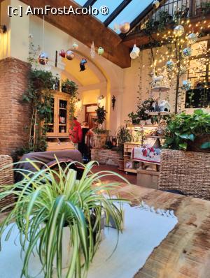 [P40] Gasthaus Altepost, secțiunea cu plante » foto by crismis
 - 
<span class="allrVoted glyphicon glyphicon-heart hidden" id="av1479856"></span>
<a class="m-l-10 hidden" id="sv1479856" onclick="voting_Foto_DelVot(,1479856,5855)" role="button">șterge vot <span class="glyphicon glyphicon-remove"></span></a>
<a id="v91479856" class=" c-red"  onclick="voting_Foto_SetVot(1479856)" role="button"><span class="glyphicon glyphicon-heart-empty"></span> <b>LIKE</b> = Votează poza</a> <img class="hidden"  id="f1479856W9" src="/imagini/loader.gif" border="0" /><span class="AjErrMes hidden" id="e1479856ErM"></span>