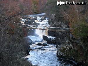 [P06] Rogie Falls împreună cu podul pe care eu cu siguranță nu m-aș fi plimbat, părea instabil dar era frumooos!  » foto by ariciu
 - 
<span class="allrVoted glyphicon glyphicon-heart hidden" id="av574211"></span>
<a class="m-l-10 hidden" id="sv574211" onclick="voting_Foto_DelVot(,574211,5887)" role="button">șterge vot <span class="glyphicon glyphicon-remove"></span></a>
<a id="v9574211" class=" c-red"  onclick="voting_Foto_SetVot(574211)" role="button"><span class="glyphicon glyphicon-heart-empty"></span> <b>LIKE</b> = Votează poza</a> <img class="hidden"  id="f574211W9" src="/imagini/loader.gif" border="0" /><span class="AjErrMes hidden" id="e574211ErM"></span>