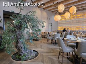 [P16] Samsara Restaurant » foto by crismis
 - 
<span class="allrVoted glyphicon glyphicon-heart hidden" id="av1532329"></span>
<a class="m-l-10 hidden" id="sv1532329" onclick="voting_Foto_DelVot(,1532329,6063)" role="button">șterge vot <span class="glyphicon glyphicon-remove"></span></a>
<a id="v91532329" class=" c-red"  onclick="voting_Foto_SetVot(1532329)" role="button"><span class="glyphicon glyphicon-heart-empty"></span> <b>LIKE</b> = Votează poza</a> <img class="hidden"  id="f1532329W9" src="/imagini/loader.gif" border="0" /><span class="AjErrMes hidden" id="e1532329ErM"></span>