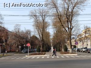 [P10] Tiraspol, Bd. Yuri Gagarin, Bustul lui și aleea pietonală mediană » foto by mprofeanu
 - 
<span class="allrVoted glyphicon glyphicon-heart hidden" id="av1492649"></span>
<a class="m-l-10 hidden" id="sv1492649" onclick="voting_Foto_DelVot(,1492649,6113)" role="button">șterge vot <span class="glyphicon glyphicon-remove"></span></a>
<a id="v91492649" class=" c-red"  onclick="voting_Foto_SetVot(1492649)" role="button"><span class="glyphicon glyphicon-heart-empty"></span> <b>LIKE</b> = Votează poza</a> <img class="hidden"  id="f1492649W9" src="/imagini/loader.gif" border="0" /><span class="AjErrMes hidden" id="e1492649ErM"></span>