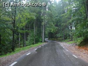 P08 [JUN-2016] Imediat după ce am ieșit din satul Chiril am urcat tot mai pronunțat prin pădure, iar drumul s-a îngustat.