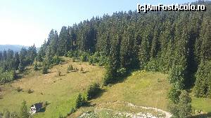P02 [AUG-2015] Pădure de brazi în Borsec. 