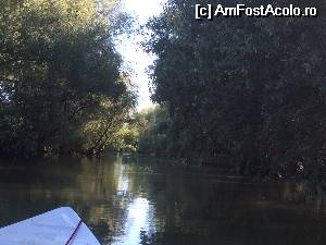 [P08]  -- <small>// FĂRĂ DESCRIERE</small> » foto by aAlice
 - 
<span class="allrVoted glyphicon glyphicon-heart hidden" id="av532357"></span>
<a class="m-l-10 hidden" id="sv532357" onclick="voting_Foto_DelVot(,532357,6339)" role="button">șterge vot <span class="glyphicon glyphicon-remove"></span></a>
<a id="v9532357" class=" c-red"  onclick="voting_Foto_SetVot(532357)" role="button"><span class="glyphicon glyphicon-heart-empty"></span> <b>LIKE</b> = Votează poza</a> <img class="hidden"  id="f532357W9" src="/imagini/loader.gif" border="0" /><span class="AjErrMes hidden" id="e532357ErM"></span>