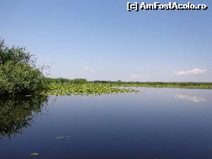 [P09]  -- <small>// FĂRĂ DESCRIERE</small> » foto by catalinao*
 - 
<span class="allrVoted glyphicon glyphicon-heart hidden" id="av526272"></span>
<a class="m-l-10 hidden" id="sv526272" onclick="voting_Foto_DelVot(,526272,6339)" role="button">șterge vot <span class="glyphicon glyphicon-remove"></span></a>
<a id="v9526272" class=" c-red"  onclick="voting_Foto_SetVot(526272)" role="button"><span class="glyphicon glyphicon-heart-empty"></span> <b>LIKE</b> = Votează poza</a> <img class="hidden"  id="f526272W9" src="/imagini/loader.gif" border="0" /><span class="AjErrMes hidden" id="e526272ErM"></span>