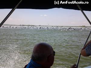 [P03]  -- <small>// FĂRĂ DESCRIERE</small> » foto by kiko
 - 
<span class="allrVoted glyphicon glyphicon-heart hidden" id="av528077"></span>
<a class="m-l-10 hidden" id="sv528077" onclick="voting_Foto_DelVot(,528077,6339)" role="button">șterge vot <span class="glyphicon glyphicon-remove"></span></a>
<a id="v9528077" class=" c-red"  onclick="voting_Foto_SetVot(528077)" role="button"><span class="glyphicon glyphicon-heart-empty"></span> <b>LIKE</b> = Votează poza</a> <img class="hidden"  id="f528077W9" src="/imagini/loader.gif" border="0" /><span class="AjErrMes hidden" id="e528077ErM"></span>